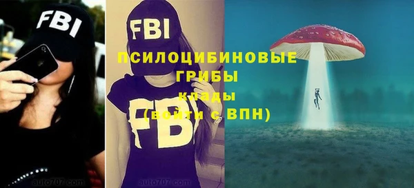 твердый Балабаново