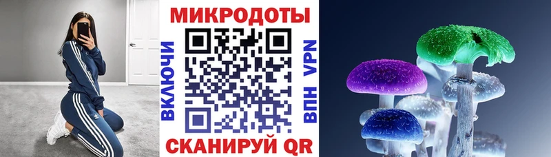 дарнет шоп  Ужур  Галлюциногенные грибы GOLDEN TEACHER 